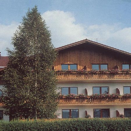 Pension Waldkristall Frauenau Exteriör bild