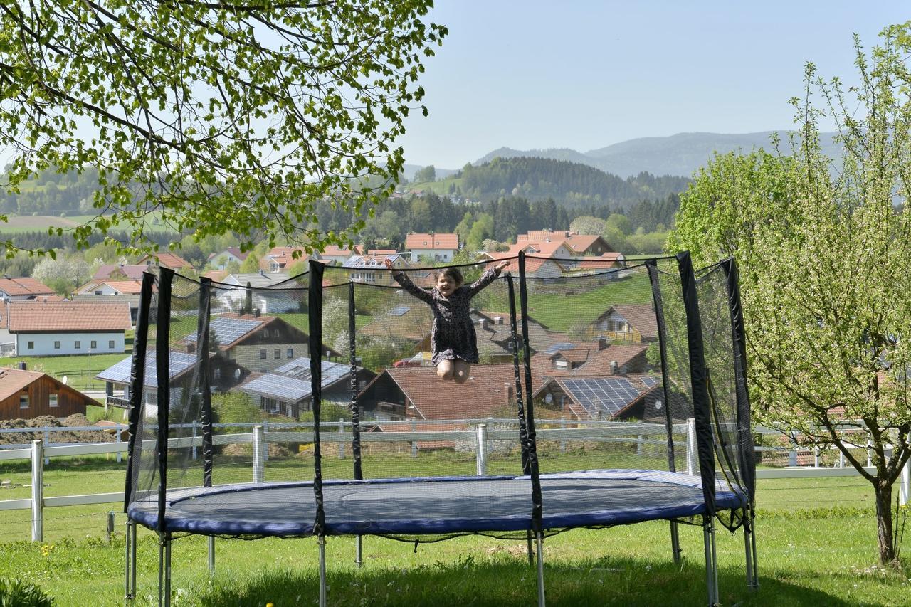 Pension Waldkristall Frauenau Exteriör bild